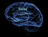 Blokzijl Gert - Focus