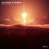 Halftribe & Spinnet - Patterns Of Sync 2020