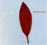 English Lawrence - Transit
