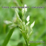 Jorgensen Chorchendorff Steen - Internal Moments
