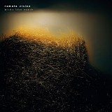 Remote Vision - Birds Like Earth