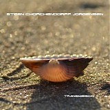 Jorgensen Steen Chorchendorff - Transmission