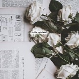 Oliviaway - Is Life Colorless?