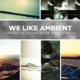 Various artists - We Like Ambient / Curated By Caught In The Wake Forever