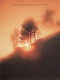 Stearns Michael - The Light In The Trees