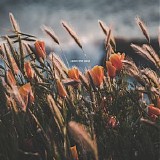 oliviaway - catch the wind