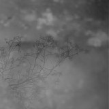 Wiese Klaus - Spatial Sense (Previously Unreleased)