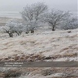 Wintersilence - Slow Focus