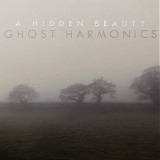 Ghost Harmonics - A Hidden Beauty