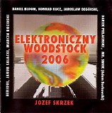 Various artists - Elektroniczny Woodstock 2006