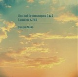 Cousin Silas - Liminal Drones 3 & 4 (Summer & Fall)