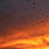 Grassow Mathias - Dammerung