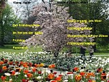 Klang Maler - Meine 4 jahreszeiten vol 2 frÃ¼hling