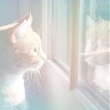 Poemme - Day Arc
