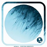 Palancar - Counting Raindrops