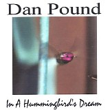 Pound Dan - In A Hummingbird's Dream