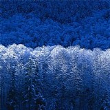 Schattenfell - Timeless Passage`s