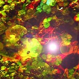 Alien Mutation vs. Indigo Egg - Microcosmacrocosm (Reissue 2015)
