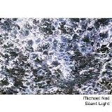 Neil Michael - Silent Light