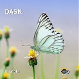 Dask - Insecta