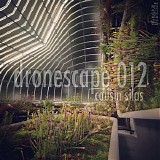 Cousin Silas - Dronescape 012