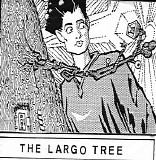 Nightcrawlers - The Largo  Tree