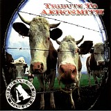 Various artists - Tribute To Aerosmith: Not The Same Old Song And Dance