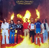 Lynyrd Skynyrd - Street Survivors