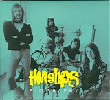 Horslips - Biography