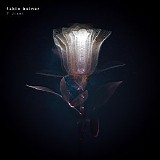 Keiner Fabio - 7 Jisei