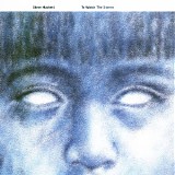 Steve Hackett - To Watch The Storms