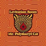 Levitation Room - Mr. Polydactyl Cat