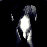 Phase47 - Liminal