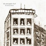 Pineapple Thief, The - 10 Stories Down