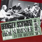 Brinsley Schwarz - Surrender To The Rhythm
