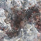 Tangled Thoughts Of Leaving - Oscillating Forest