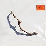 PJ Harvey - I Inside the Old Year Dying