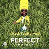 Giddimani, Perfect (Perfect Giddimani) - #HashTagHarvest