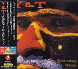 Y & T - Endangered Species