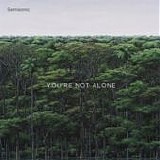 Semisonic - You're Not Alone