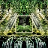 Morris Shane - Forest