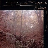 Salvans David - Montseny