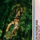 Polyphonic Spree, The - Soldier Girl