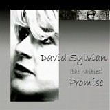 Sylvian, David - Promise - The Rarities