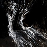 Verwoed - Woudloper