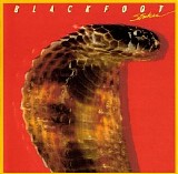 Blackfoot - Strikes