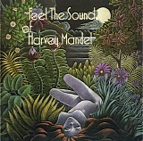 Harvey Mandel - Feel The Sound Of Harvey Mandel
