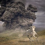 The White Buffalo - Year Of The Dark Horse