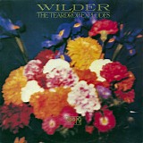 The Teardrop Explodes - Wilder