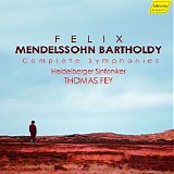 Thomas Fey - String Symphonies